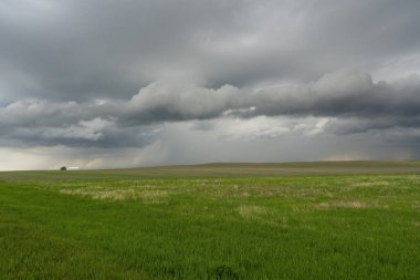 Prairie Yaz Fırtınaları Saskatchewan Kanada Kaygı verici