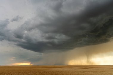Prairie Yaz Fırtınaları Saskatchewan Kanada Kaygı verici