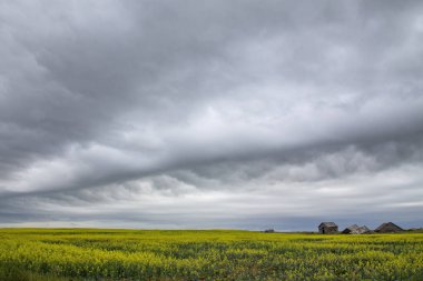 Prairie Yaz Fırtınaları Saskatchewan Kanada Kaygı verici