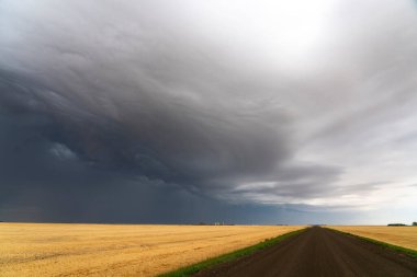 Kara raf bulutu bir köy yolu ve geniş buğday tarlası üzerinden yaklaşıyor.