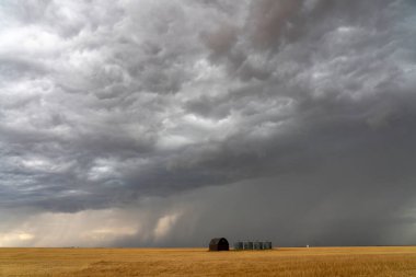 Kara fırtına bulutları, tahıl ambarlarıyla kuru bir altın tarlasında toplanıyor, dramatik ve uğursuz bir sahne yaratıyor.