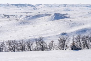 Eski terk edilmiş ahır karla kaplı bir tarlada oturuyor tepeler ve yapraksız ağaçlarla