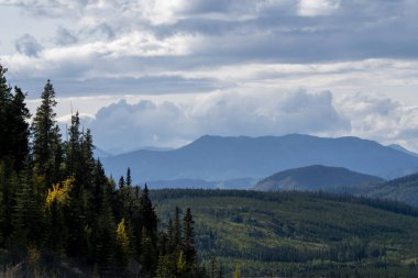Ön planda bir çam ormanının manzarası, orta yerde yuvarlanan tepeler ve bulutlu bir gökyüzünün altında muhteşem dağlar.