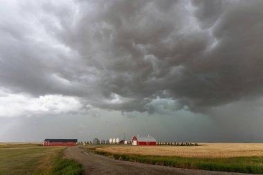 Kanada çayırlarında dramatik fırtına bulutları oluşuyor.