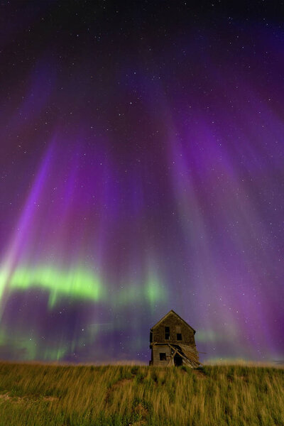 Abandoned farmhouse silhouetted against vibrant northern lights illuminating night sky