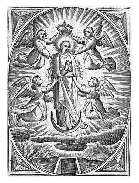 초승달에 마리아 1626 1676 초승달에 마리아의 몽소승천 마리아는 천사들에게 둘러싸여 — 스톡 사진