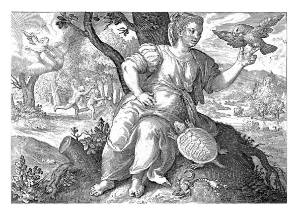 Sensazione Senso Nicolaes Bruyn Dopo Maerten Vos 1581 1656 Donna — Foto Stock