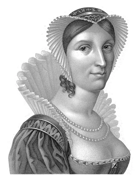 Retrato Wilhelmina Margen Inferior Nombre Título Francés — Foto de Stock