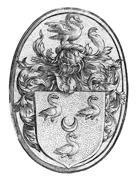 楕円形のハーレム 3羽の白鳥に囲まれた半分の月 からのアウト家の紋章 — ストック写真