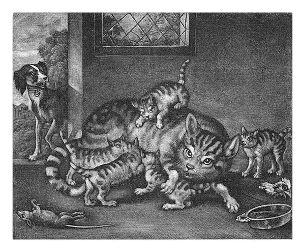 stock image Female with five cubs, Jan Griffier (I), after Francis Barlow, 1667 - 1717 In a room a female is feeding her young. There is a dog in the doorway.