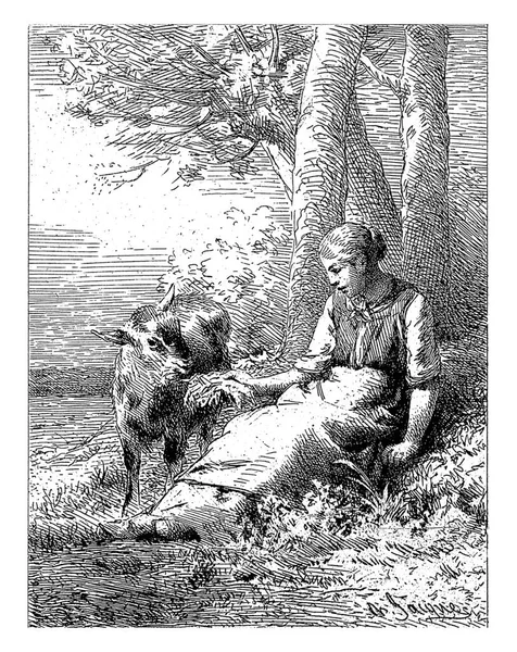 Mädchen Mit Kalb Charles Emile Jacque 1823 1894 Jahrgang Graviert — Stockfoto