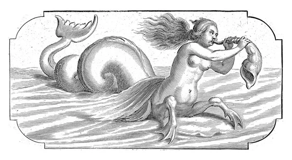1656 1701 이후에 껍질을 날으는 헨드릭데케 — 스톡 사진