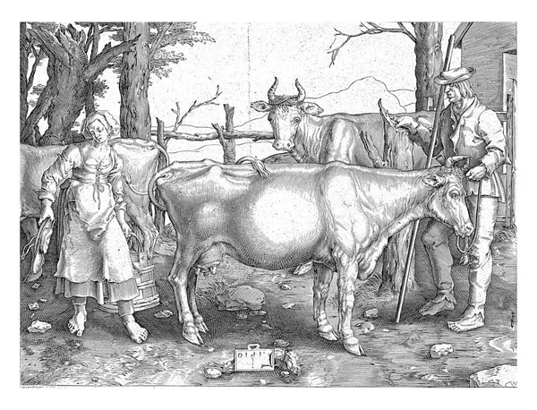 Agricultor Com Cajado Mulher Agricultor Com Balde Com Três Vacas — Fotografia de Stock