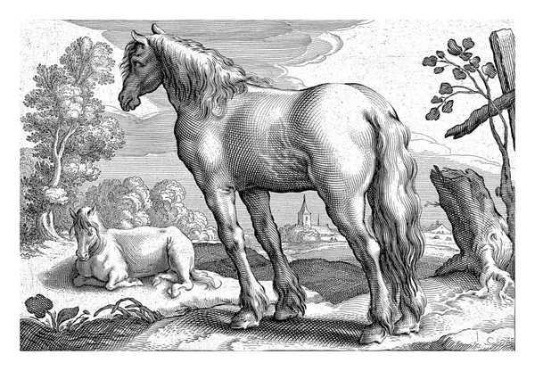 ジェイコブ ゲリッツ キュップ後の2頭の馬 ライニエ ファン ペルジンとの風景1641年 — ストック写真