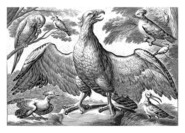 Орел Распростертыми Крыльями Окруженный Различными Птицами — стоковое фото