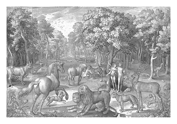 夏娃诱惑亚当吃禁果 尼可拉斯 布鲁恩 1642年世上有各种动物的天堂 中间是善与恶的知识树 — 图库照片
