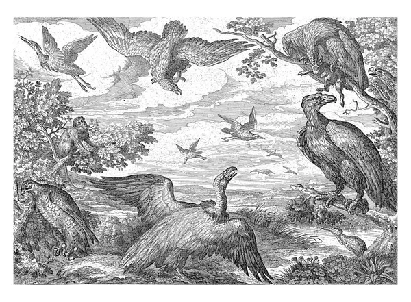 Ένα Τοπίο Διαφορετικά Πουλιά Στη Μέση Μια Γαλοπούλα Στα Αριστερά — Φωτογραφία Αρχείου