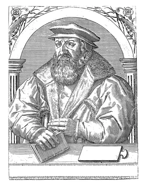 Porträtt Josias Simmler Robert Boissard 1597 1599 — Stockfoto