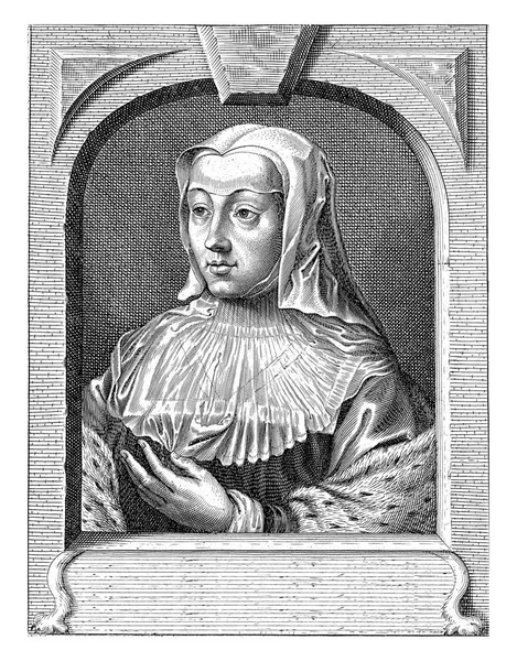 萨伏依公爵夫人 奥地利玛格丽特的肖像画 头戴白色头罩 她把左手放在胸前 肖像画呈弧形 有四行拉丁文字幕 — 图库照片