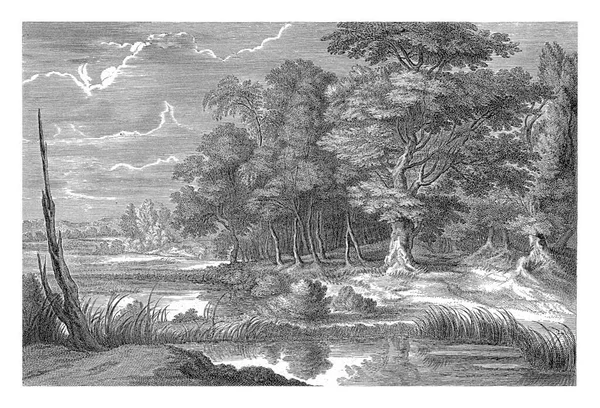 Paisagem Florestal Com Lagoa Alexander Voet Após Jacques Fouquier 1673 — Fotografia de Stock