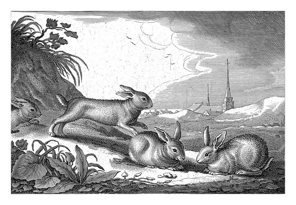 Dune Landscape Rabbits Reinier Van Persijn Jacob Gerritsz Cuyp 1641 — стокове фото