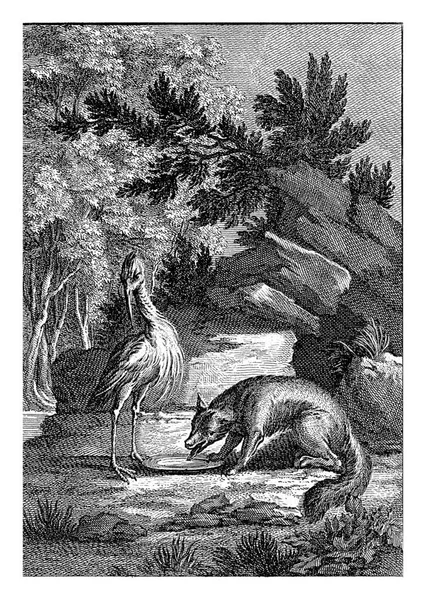 Ένας Πελαργός Και Μια Αλεπού Ένα Βραχώδες Τοπίο Αλεπού Πίνει — Φωτογραφία Αρχείου