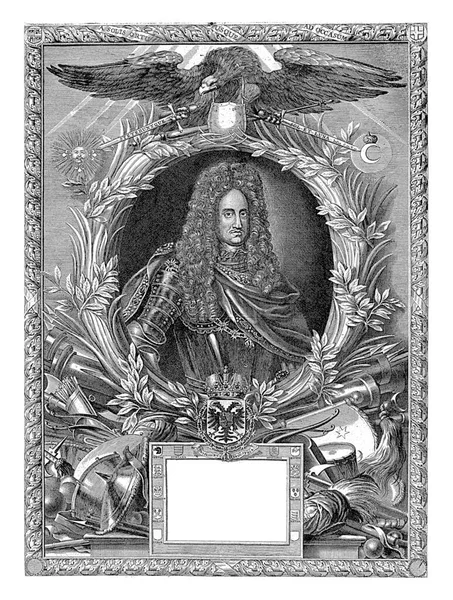 Портрет Карла Германского Императора Носит Доспехи Цепь Орденом Золотого Руна — стоковое фото