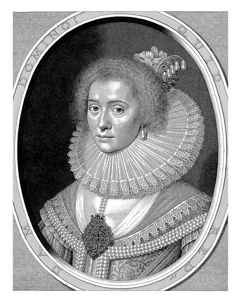 Portrait Amalia Van Solms Willem Jacobsz Delff Michiel Jansz Van — Stock Photo, Image