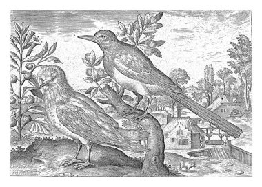 Bir saksağan ve su değirmeni olan bir başka kuş. Parmak izi kuşların konu olduğu bir serinin parçası..