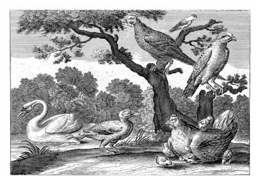 Yüzen bir kuğuyla manzara, civcivlerle çevrili bir tavuk ve diğer kuşlarla.