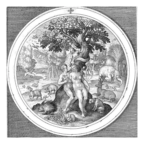 エバは善と悪の木で蛇に惑わされ ニコラス ブラインは天正9年 1581年 万治2年 1656年 の間にメルテン ヴォスの後 善と悪の木で蛇に欺かれる — ストック写真