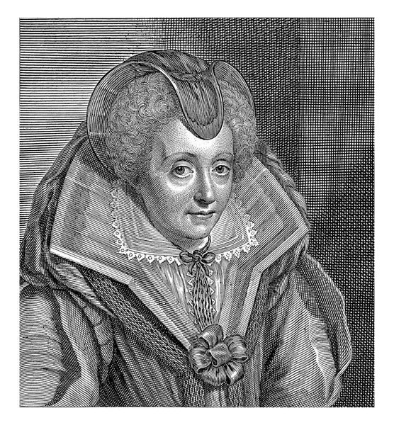 Портрет Луїзи Коліньї Вішер Після Міхееля Янса Ван Мьєревелта 1643 — стокове фото