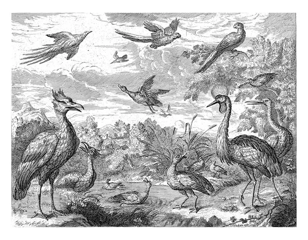 Различные Птицы Числе Индийский Пеликан Журавль Райская Птица Попугай Две — стоковое фото