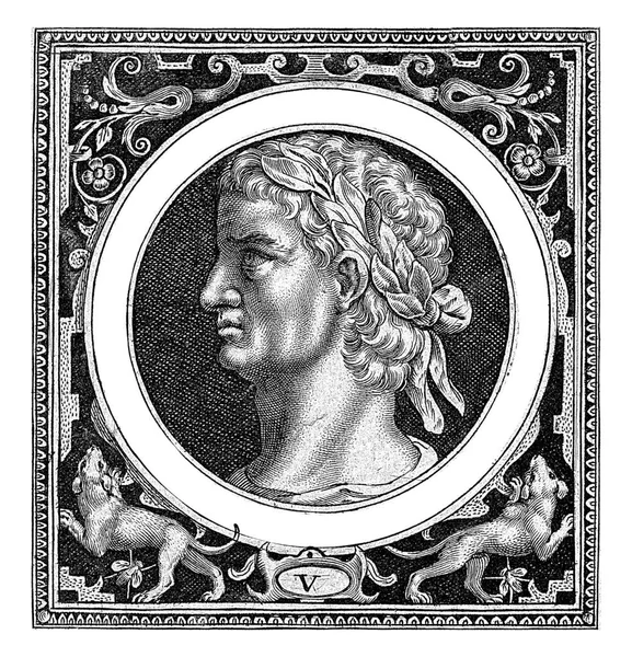 Retrato Com Busto Imperador Cláudio Medalhão Moldura Retangular Com Ornamentos — Fotografia de Stock