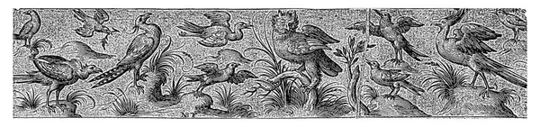Фриз Одинадцятьма Птахами Тому Числі Совою Nicolaes Bruyn Честь Ганса — стокове фото