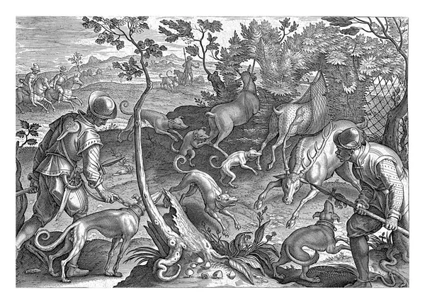 stock image Deer are hunted by dogs and caught in nets. The print has a Latin caption and is part of a 43-part series about hunting.