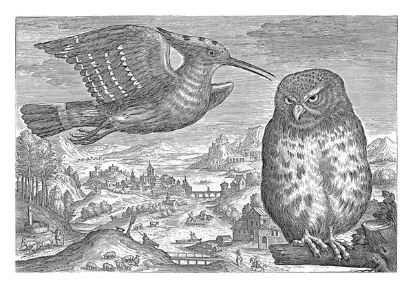 Hoopoe Sova Krajině Řekou Tisk Součástí Série Ptáky Jako Předmětem — Stock fotografie