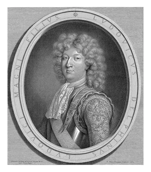 Portret Van Lodewijk Dauphin Van Frankrijk Met Borstplaat Rijkelijk Geborduurde — Stockfoto