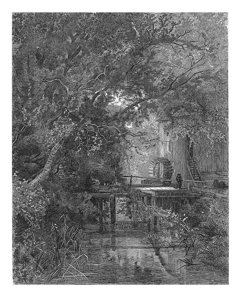 Blick Auf Eine Wassermühle Zwischen Den Bäumen Auf Dem Steg — Stockfoto