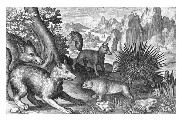 Javali Selvagem Raposas Castor Porco Espinho Rãs Nicolaes Bruyn 1594 — Fotografia de Stock