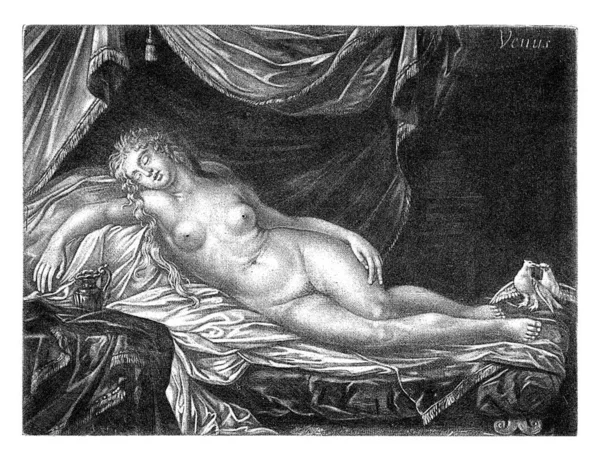 Спящая Венера Якоб Гол 1670 1724 Венера Спит Голая Навесом — стоковое фото