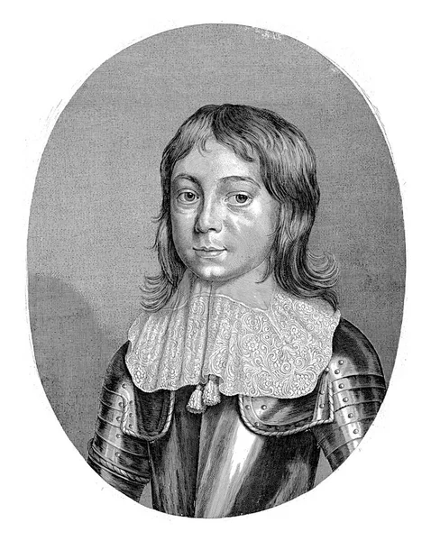 Portret Wolferta Van Brederode Lorda Cloetingena Haeftyena Herwijnena Młodym Wieku — Zdjęcie stockowe