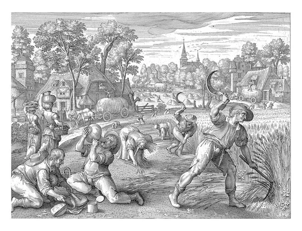 1581 1656 여름에 있었던 활동으로 풍경이 바뀌다 사람들은 건초를 로프스크에 — 스톡 사진