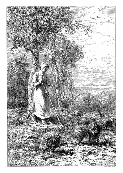 Žena Pracující Mezi Kuřaty Charles Emile Jacque 1865 Archivní Rytina — Stock fotografie