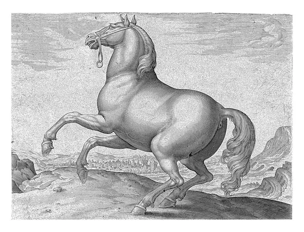 プロファイルではフランスの馬だ それは聞こえる 印刷はラテン語のキャプションを持っており オーストリアのドン フアンの王室の厩舎からの馬の品種に関する39部のシリーズの最初の部分の一部です — ストック写真
