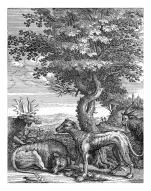 Ön planda alegorik bir manzara, büyük bir ağacın önünde, yalancı ve ayakta duran bir köpek. Sağda bir keçi ve solda bir geyiğin başı. İki figürlü yuvarlanan manzara