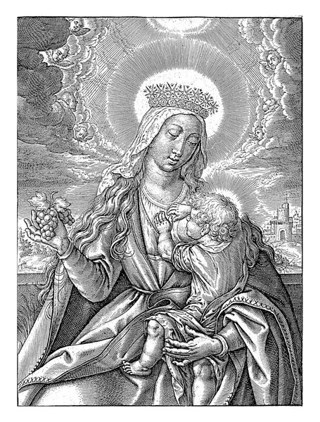マリアはキリストの子であるヒエロニムス ウィリクス Hieronyus Wierix を1563年から1619年の間 キリストの子であるマリヤに似ていました 彼女は戴冠し 彼女の手にブドウの束を保持します — ストック写真