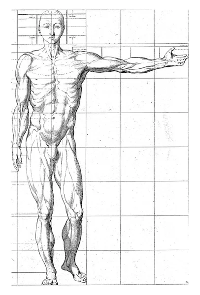 Front view, with one arm outstretched.