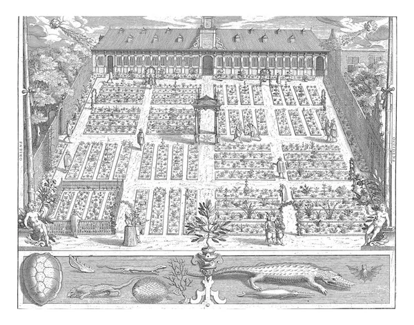 Kilátás Leideni Egyetem Hortus Botanicusára Különböző Sétáló Alakokkal Kertben 1610 — Stock Fotó