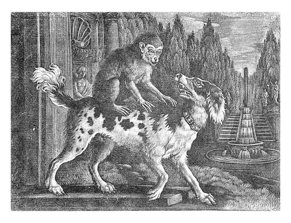 Ozdobnym Ogrodzie Małpa Siedzi Plecach Psa Pies Szczeka Małpę — Zdjęcie stockowe
